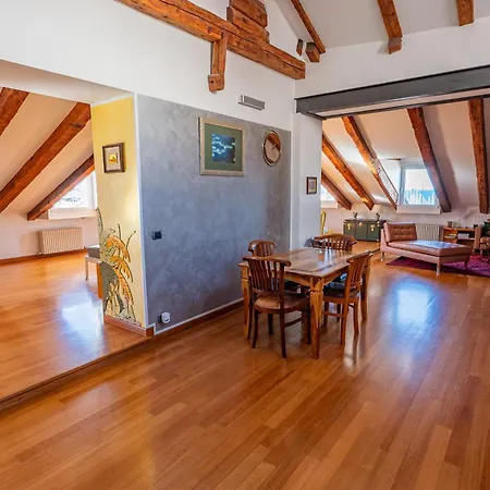 Panorama Loft 公寓 *